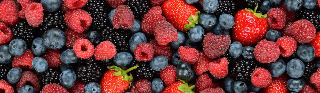 supplier of fresh class A berries
